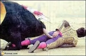 La couleur rouge rend-elle les taureaux agressifs ?