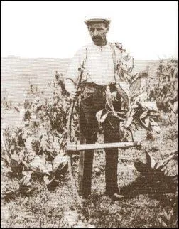 Dur labeur saisonnier (printemps) pratiqué dans les collines et montagnes de France : le produit servait (et sert encore) de remède. On peut en mettre dans la gnôle, alors ?