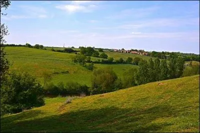 Cholet, une des sous-préfectures du département du Maine-et-Loire se trouve dans :