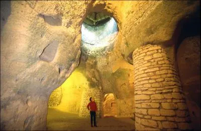Le département du Maine-et-Loire est le premier producteur de champignons de Paris mais aussi de :