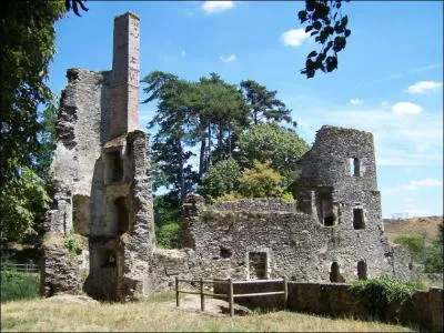 Quel poète français est natif de Liré dans le Maine-et-Loire ?