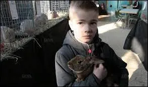 Une cage contient x lapins et x coqs. 35 têtes et 94 pattes sont présentes dans la cage. Combien y a-t-il de lapins et de coqs dans la cage ?