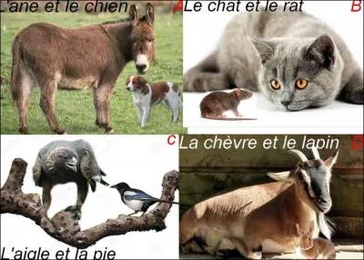 Quelle fable de Jean de la Fontaine n'existe pas ?