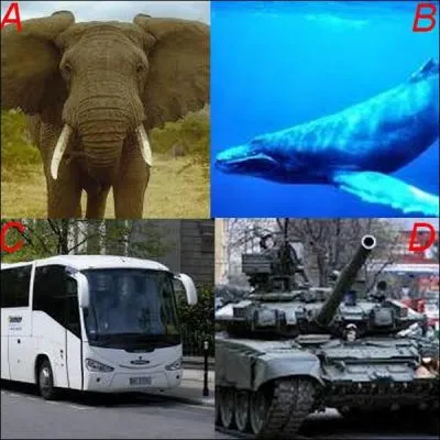 Qui est le plus lourd ?