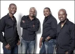 Quel groupe chante "Tu es fou" ?