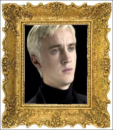 Ça y est, les choses prennent forme... autour de cadres Louis XV. Comme il est très facile de reconnaître les personnages qui vont suivre, je vous propose de s'amuser un petit peu ; jouons à l'apprenti poète. Trouvons la citation qui collerait le plus au principal trait de caractère de chaque personnage. Par exemple, ici, Drago Malefoy peut être considéré comme quelqu'un d'arrogant...