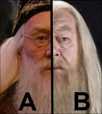 Coupé en deux ! Quelle partie de ce Dumbledore a joué aux côtés de Kenneth Branagh ?