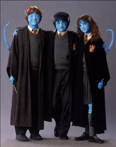 Revenons aux sorciers ; comment Harry, Ron et Hermione ont-ils pu se transformer ainsi ? Magiquement, y a-t-il une solution pour devenir comme cela ?