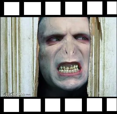 Aller, une dernière pour la route. Dans quel film Voldemort fait-il irruption ici ?