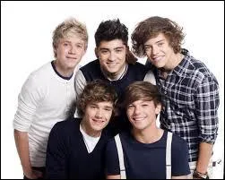 Quel est le nom des fans des One Direction ?