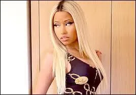 Quel est le nom des fans de Nicki Minaj ?