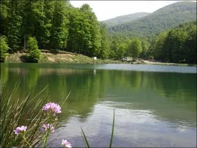 Quelle est cette belle forêt des Pyrénées-Atlantiques, à cheval sur l'Espagne et la France, encadrée par l'Okabe et le pic d'Orthy ?