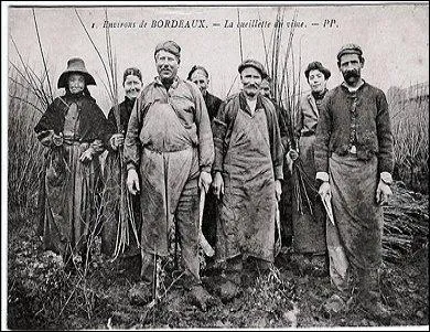 Occupation saisonnière et campagnarde, dont la matière première était omniprésente dans les maisons. Aurait-elle été remplacée par le plastique ?
