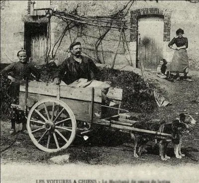 Celui-ci me faisait peur, avec son chargement. Il passait en trompetant à coup de corne et il braillait... Mais que criait-il, mes aïeux ?