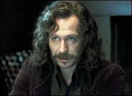 Qui est ce personnage dans Harry Potter ?