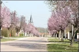 Je termine par une visite de la commune Côte-d'Orienne de Saint-Nicolas-lès-Citeaux. Nous nous situons en région ...