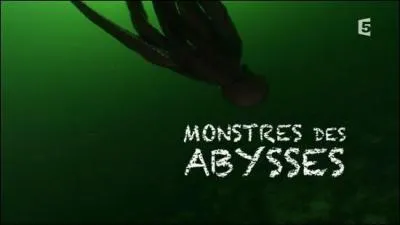 La pieuvre des abysses met plus de 4 ans pour mener à bien le développement de ses oeufs. Que lui arrive-t-il ensuite ?