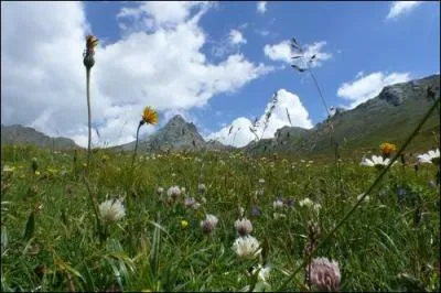 Quel est le nom de l'organisme de surveillance de la qualité de l'air ?