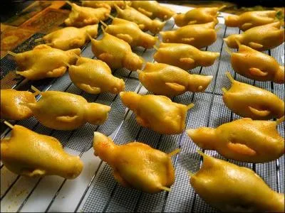 Pour quels oiseaux Alain Bougrain Dubourg s'oppose-t'il aux braconniers ?