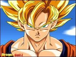 Kakarote, connu sous le nom de Songoku, est un guerrier...