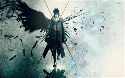 Qui est ce personnage de manga ?