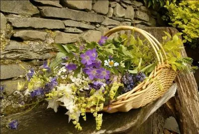 Une composition florale.
Quelle fleur de la famille des Asteraceae est au coeur de ce délicat panier fleuri ?