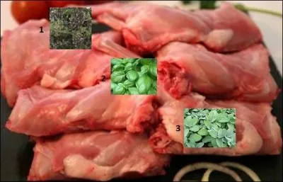 Associations de saveurs.
Avec quels aromates parfumerez-vous, au choix, les râbles de lapin ?