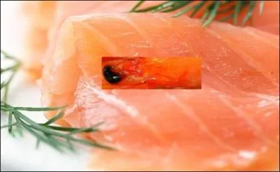 Gastronomie.
Une crevette posée sur une tranche de ----- du genre Oncorhynchus dont la très jolie couleur rose nacré attire les convoitises.