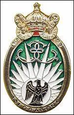 Où est stationné le 13e régiment de dragons parachutistes ?