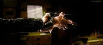 Qui tait le gardien du secret des Potter ?