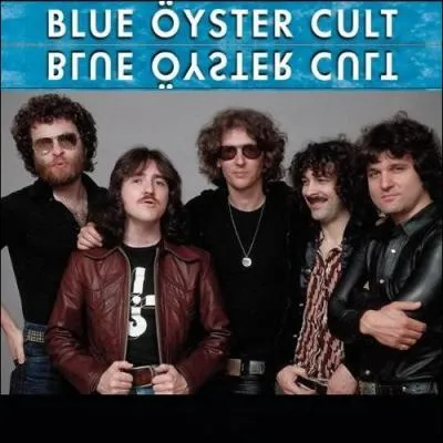 Quel groupe amricain a repris 2 titres 'Burnin' For You' et 'Cities On Flame' dans un CD nomm 'Tribute to the Gods' (reprises de standards du rock et de mtal) ?