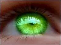 Lequel de ces symptômes n'est pas celui de l'herpès ?