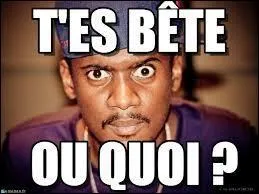 Est-ce qu'il chante  Prie pour moi  ?