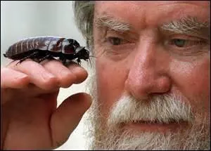 Remis(e) de vos émotions, cher/chère ami(e) ? A la suivante de ces bestioles ! 
Quelle taille peut atteindre un cafard au maximum ?