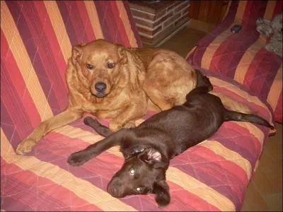 À 67 ans, elle aime la nature et les animaux, la lecture, le cinéma, sa famille et ses amis. On connaît bien :