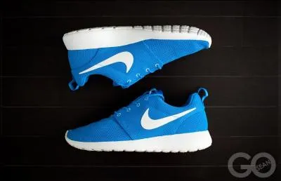 Ce modèle de basket Nike est ...