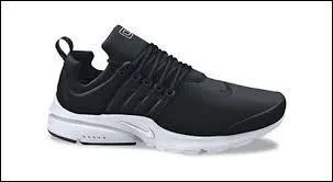 Ce modèle de basket Nike est ...