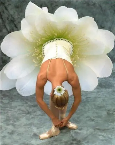 A qui doit-on la célèbre musique de "Petite fleur" ?