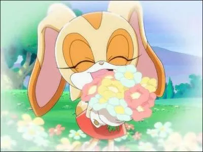 Comment s'appelle cette petite lapine orange qui apparaît dans la série "Sonic X" ?