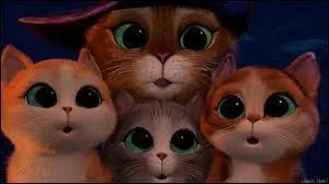 Dans quel dessin animé pouvons-nous voir ces 4 chats aux yeux doux ?