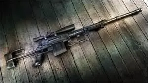 Quelle est l'arme qui a la plus longue cadence de tir ?