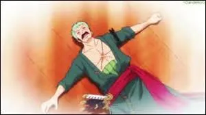 Enfin, la bataille terminée, Luffy est juste en train de crever à Impel Down et Zoro - le seul qui peut l'aider - fait la sieste mais pourquoi ?