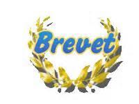 Quiz Brevet