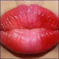 Comment dit-on "bouche" en espagnol ?