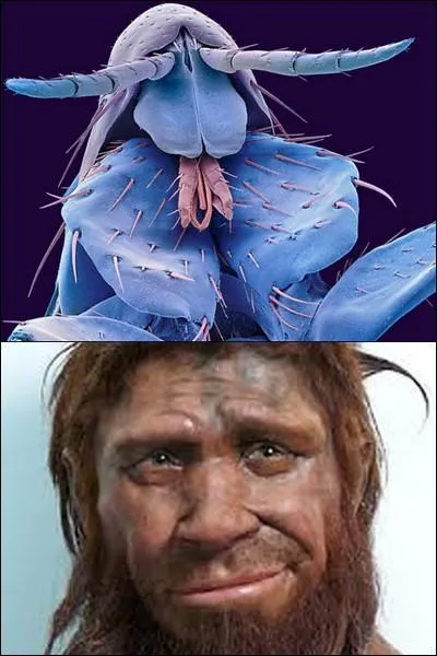 Et ce dernier, quel est son nom ?