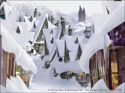 Comment s'appelle le village de sorciers dans lequel Ron et Hermione vont ?