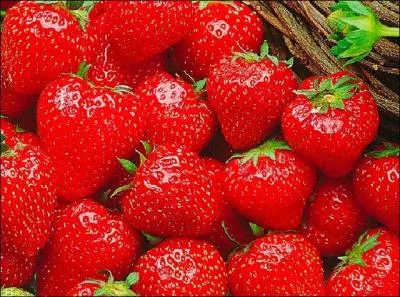 Laquelle n'est pas une variété de fraise ?