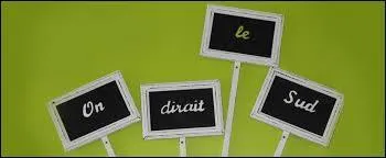 Vous connaissez certainement ce chanteur qui a interprété "Le Sud" en 1975.