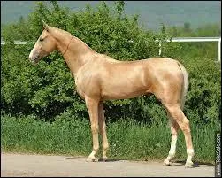 Comment s'appelle cette race ?