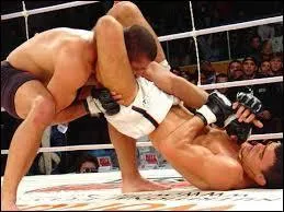 Le "vale tudo" est une forme de combat libre née au Brésil au cours du XXe siècle. Ce style est seulement régi par 3 règles. Parmi les propositions, laquelle ne correspond pas à l'une de ces fameuses règles ?